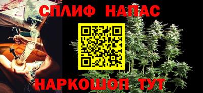 прущие грибы Кингисепп