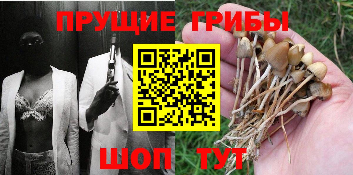 Галлюциногенные грибы мицелий Лесозаводск