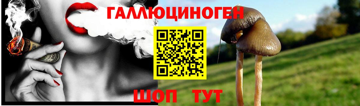 Галлюциногенные грибы ЛСД  Вход с VPN  Лесозаводск 